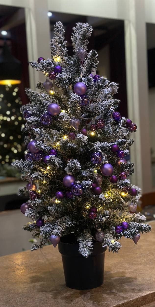 Սուրբ Ծննդյան ծառ - Image 1